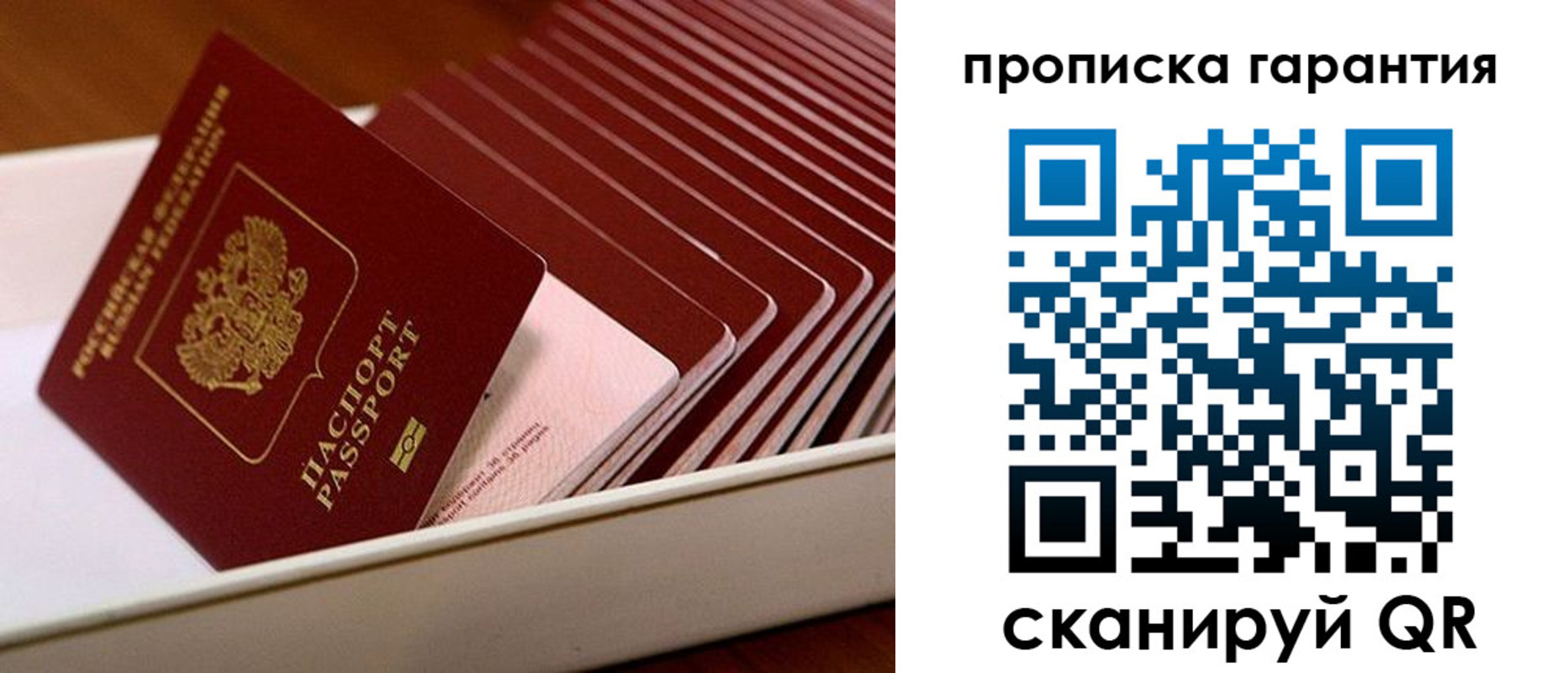 прописка поиск в Калининграде
